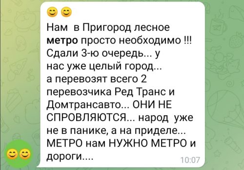 Жители подмосковного ЖК встали в «бесконечной» очереди в ожидании транспорта