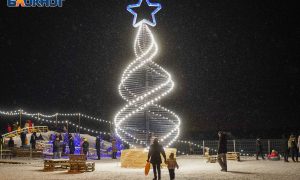 Самая необычная ёлка России установлена в Волгограде