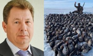 Расстрелявшего десятки диких гусей на Чукотке депутата Крамаренко нашли мертвым в собственном кабинете