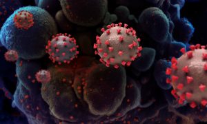 Ученые: коронавирус может сохраняться в организме человека более семи месяцев