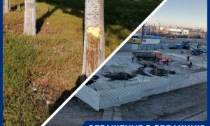 Ради строительства ресторана фастфуда и СТО в Тольятти уничтожают защитную лесополосу