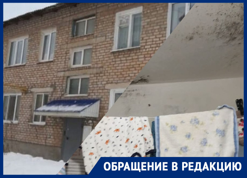 «Увидели новое жилье и ужаснулись»: в Башкирии семьи с детьми-инвалидами поселили в «убитые» квартиры в промзоне 