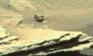 Тайна Красной планеты: на Марсе нашли торчащую из песка голову юного Ильича