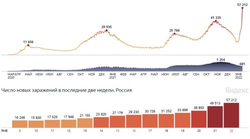 Гинцбург дал прогноз относительно окончания пандемии после «Омикрона»