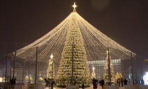 Ставропольская новогодняя елка за 49,5 миллиона едва не стала самой дорогой в России