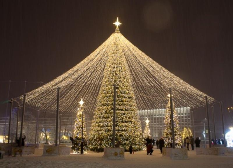 Ставропольская новогодняя елка за 49,5 миллиона едва не стала самой дорогой в России 