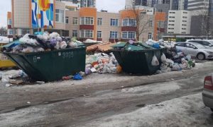 РЭО признал полную неспособность «Невского экологического оператора» в уборке мусора Петербурга