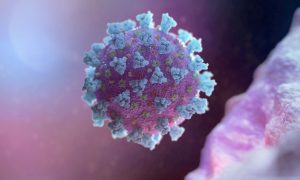 «Ускользает от антител»: ученые нашли опасную мутацию у «стелс-омикрона»