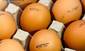 “Наши патриотические яйца”: якутская птицефабрика выпустила в продажу серию яиц 
