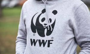 Выставить вон: Чукотка требует изгнать Всемирный фонд дикой природы из региона за угрозы