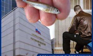Ростовский суд оставил в силе суровый приговор рыбакам, получившим по пять лет за 96-граммового малька осетра