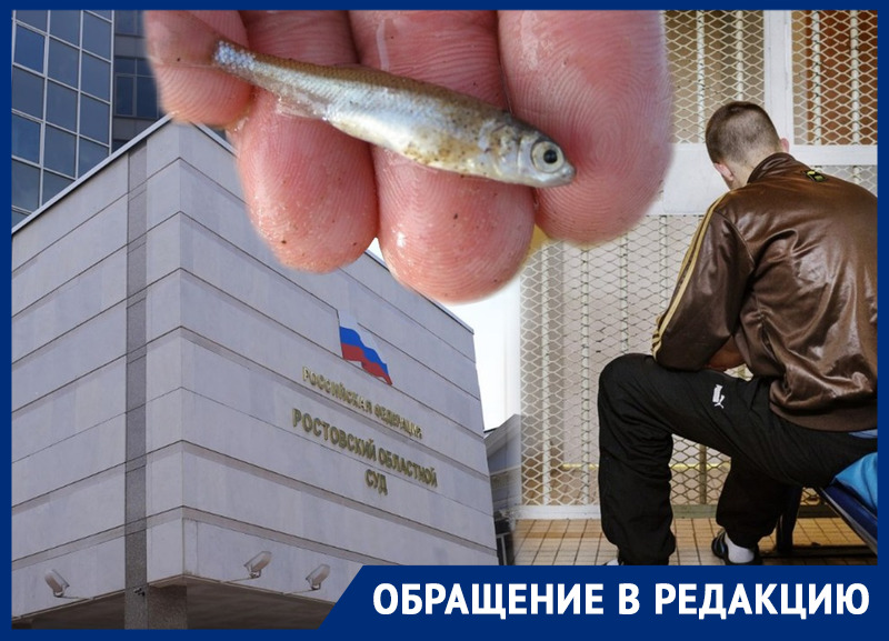 Ростовский суд оставил в силе суровый приговор рыбакам, получившим по пять лет за 96-граммового малька осетра 