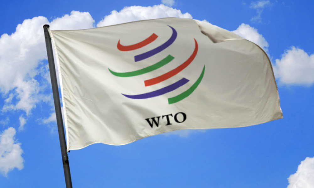 Цены на товары вырастут, а тарифы – снизятся: что ждет россиян, если мы покинем ВТО 
