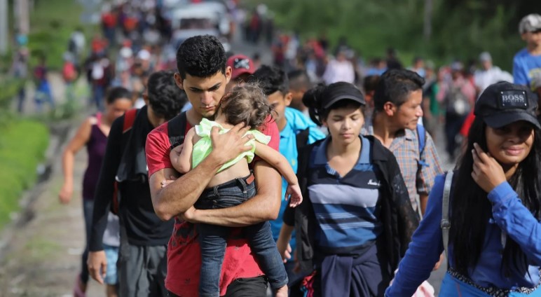 Экс-советник Трампа заявил, что мигранты угрожают нацбезопасности США 