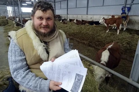 “Это наш долг”: фермеры Подмосковья выстроили коров буквой Z в поддержку спецоперации