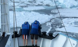 10 открытий ученых в Арктике и Антарктике, которые перевернули мир