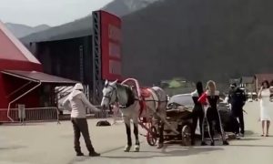 Опубликовано видео курьезного ДТП: в Сочи Tesla врезалась в телегу с лошадьми