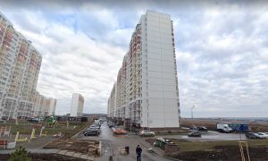 Полицейские в Ростове застрелили мужчину, который зарезал свою собаку и кидался на жену с ножом