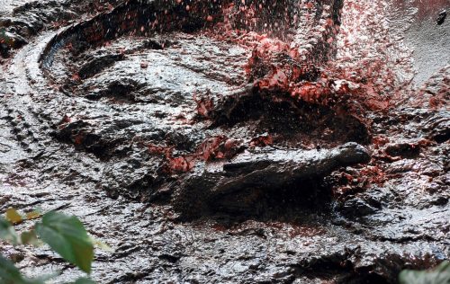 В Танзании стая крокодилов сожрала шестерых жителей деревни 