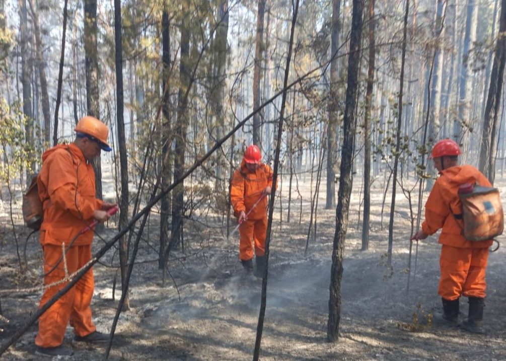 Россия в огне: лесные пожары охватили Сибирь и Алтай