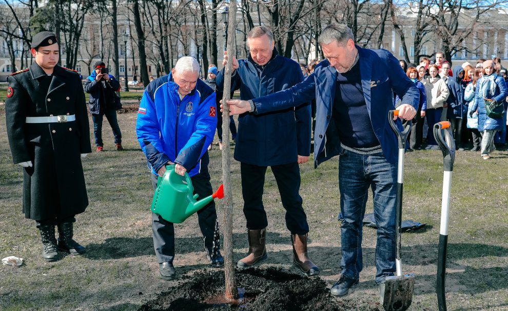 Не надоело залипухами заниматься? Посадившего дерево Беглова раскритиковали за грязный Петербург