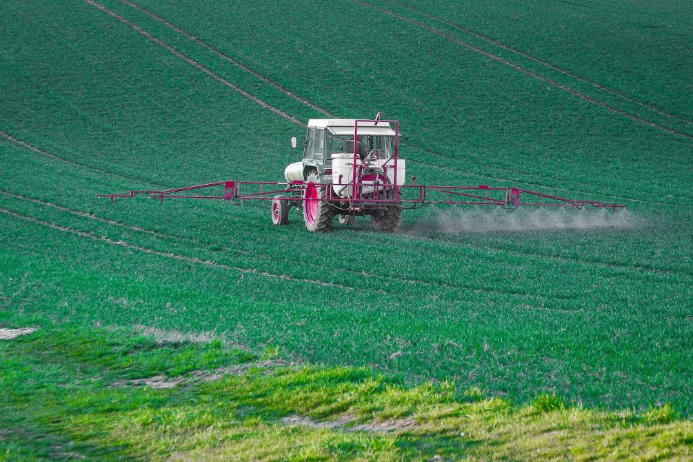 Токсичные пестициды: в Европе количество «загрязненных» вредными веществами фруктов выросло на 53%