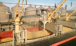 В Турции заявили о прогрессе в вопросе вывоза зерна из портов в Черном море