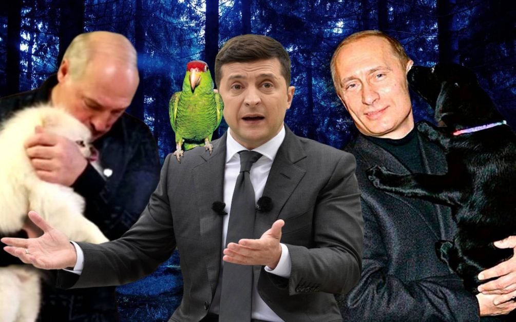 Собака на столе у лукашенко