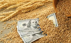 Мировые цены на пшеницу обрушились после заявления Владимира Путина