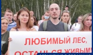 «Варварство на федеральные деньги»: в Челябинске попросили президента сохранить лес, который хотят вырубить ради ледового катка