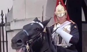 “Отойди от телохранителя королевы”: британский гвардеец наорал на туристку в Лондоне