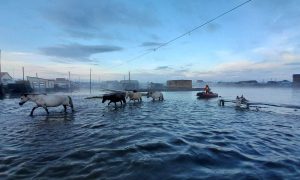 Город в России ушел под воду из-за прорыва дамбы