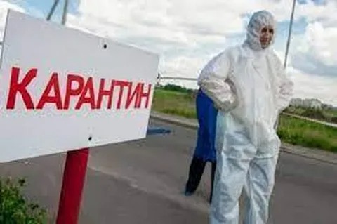 Вирусолог призвал ввести карантин для прибывающих в Россию из-за пандемии оспы обезьян 