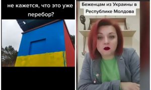 «Дерутся, пьют и не хотят работать»: европейцы требуют выгнать украинских беженцев из-за их хамского поведения