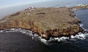 «Мышеловка»: шоу с флагом Украины на Змеином закончилась плачевно