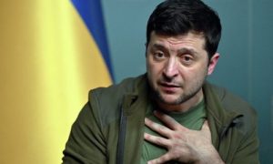 В Германии заявили, что Зеленский лишился рассудка