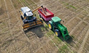 Битва за зерно: кто и зачем на самом деле сжигает пшеничные поля на Украине. И к чему это может привести