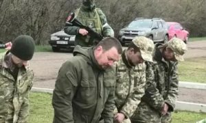 Хакер заявил о причастности офиса Зеленского к сдаче в плен бойцов ВСУ в Мариуполе