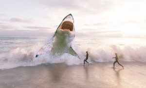 Смертельный отпуск: почему акулы-людоеды нападают на туристов на популярных курортах