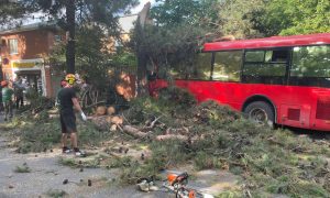 Крупное ДТП на популярном курорте - в Анапе автобус врезался в дерево