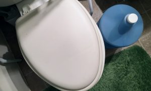 «Демократический чистый унитаз или имперский грязный сортир»: адвокат разоблачил дикий фейк укропропаганды