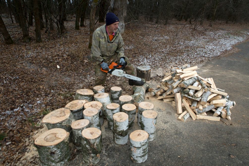 Жители Молдавии из-за газового кризиса часами стоят в очередях за дровами