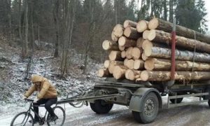 Жители Молдавии из-за газового кризиса часами стоят в очередях за дровами