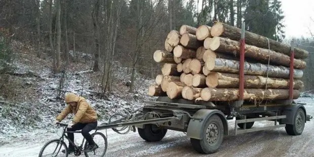 Жители Молдавии из-за газового кризиса часами стоят в очередях за дровами