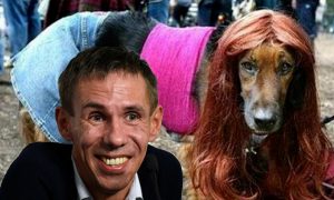 Жениться на собаке: Запад хочет легализовать зоофилию