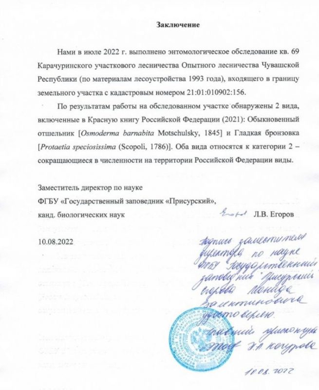 «Повалили вековые дубы, забрали родники»: жители Чебоксар попросили Путина помочь сохранить лес, отданный под высотки