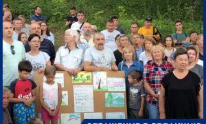 «Повалили вековые дубы, забрали родники»: жители Чебоксар попросили Путина помочь сохранить лес, отданный под высотки