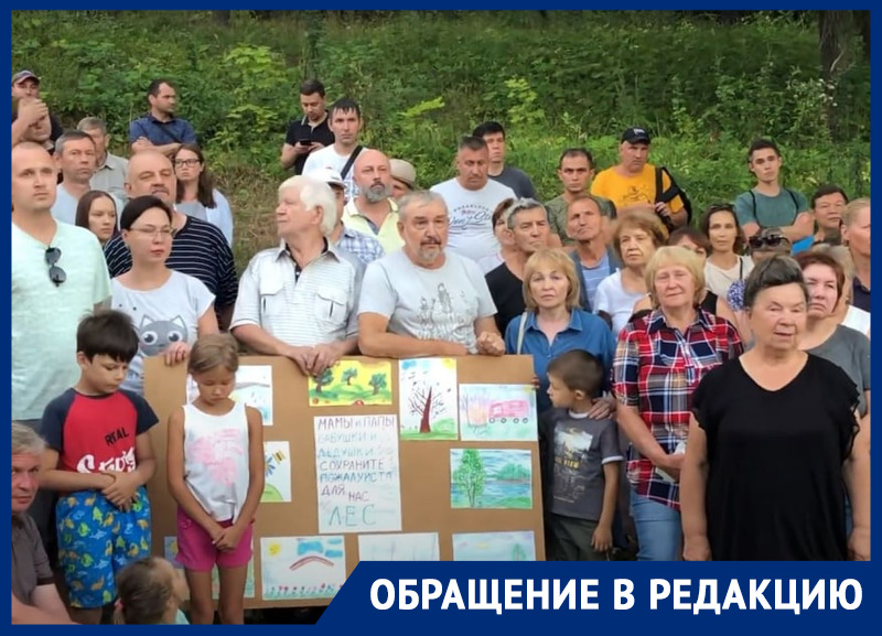 «Повалили вековые дубы, забрали родники»: жители Чебоксар попросили Путина помочь сохранить лес, отданный под высотки 