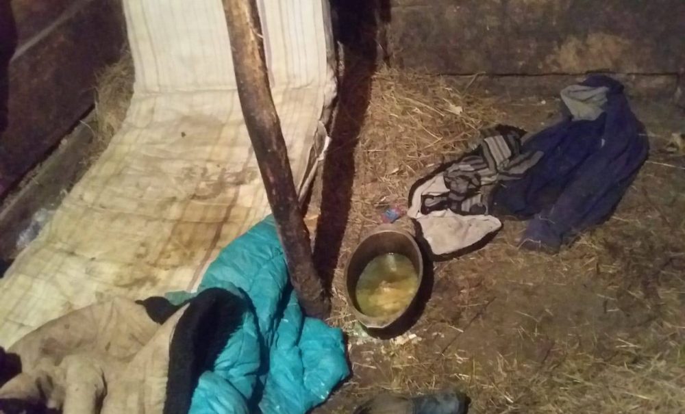 Прятались в сарае со скотом: На Кубани многодетный отец издевался над детьми 