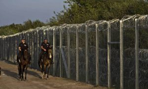 Эстонцы придумали для россиян «декларацию лояльности»